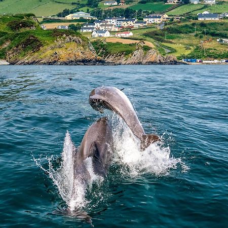 Realt Na Mara Vila Killybegs Exterior foto